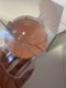 Кулька для вмивання з екстрактом вишні,яблока  Cherry Blossom With Water Cleansing Ball 100g. Зображення №2