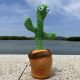Танцюючий кактус співаючий 120 пісень з підсвічуванням Dancing Cactus TikTok іграшка Повторюшка кактус. Изображение №37